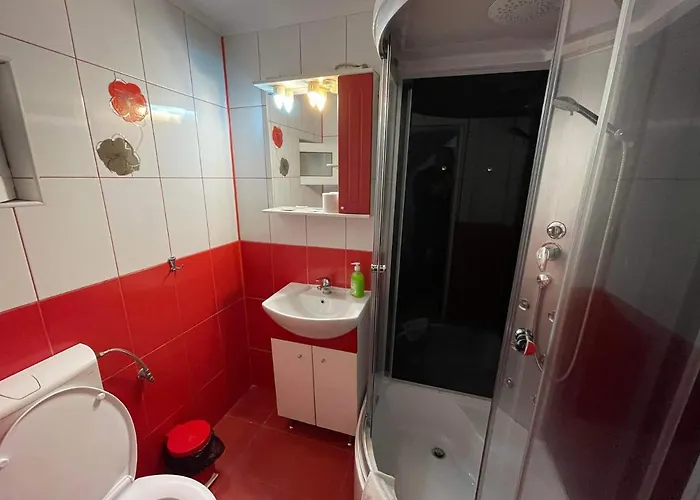 Casa Floraly Guest house Brasov